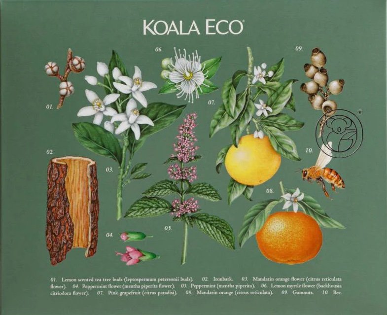 Koala Eco gift box
