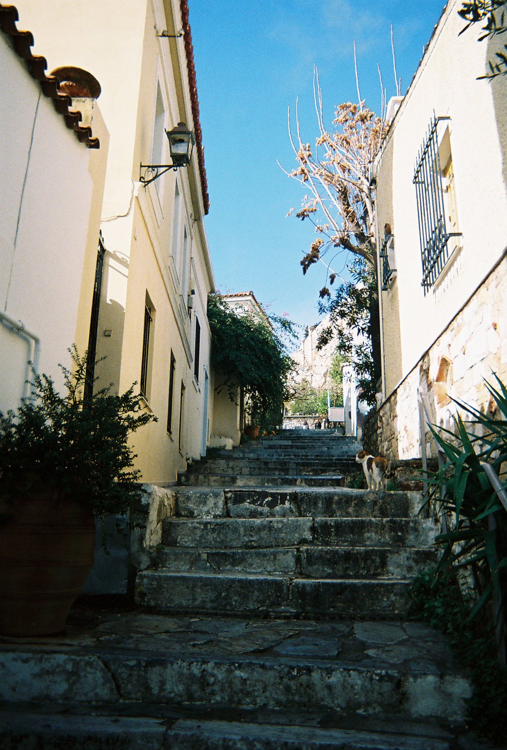 stairs near amygdalo