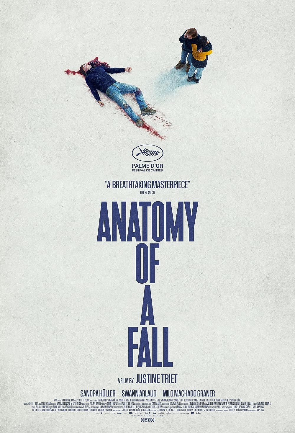 anatomy of a fall.jpg