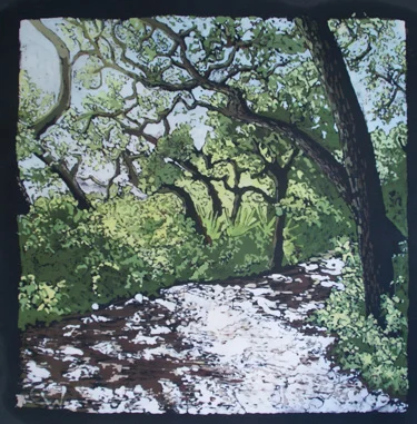 Moses Creek Walk