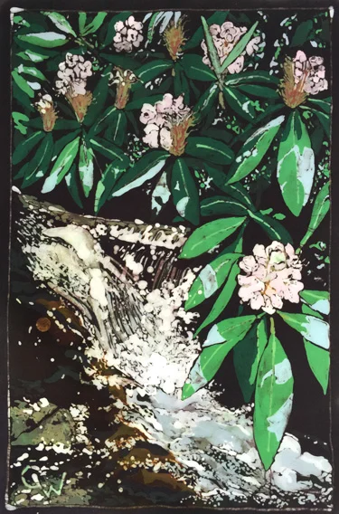 Rhododendrons at Pinky Falls
