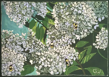 Bumblebees on Hydrangas II