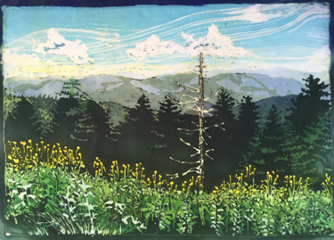 Blue Ridge Mountains II