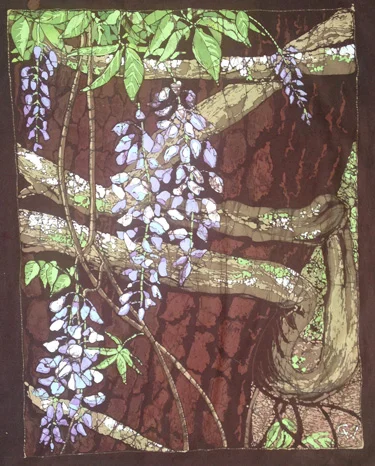 Old Wisteria Vine