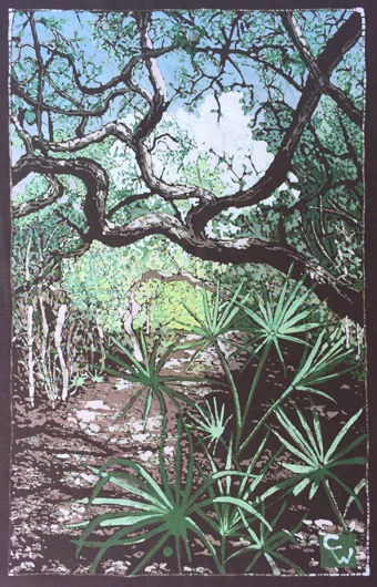 Oak Shaded Sinkhole Trail 2016