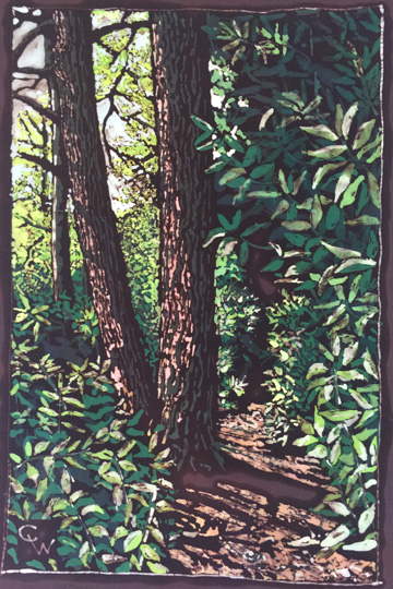Path Above the Falls