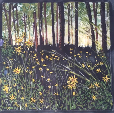 Okefenokee in Bloom 2016