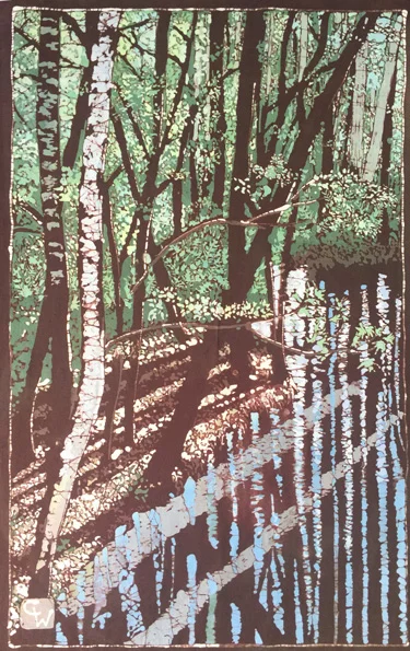 Moccasin Branch Reflections
