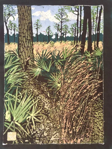 Dunns Creek Grasses