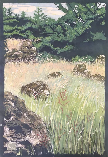 Lopez Island Hillside