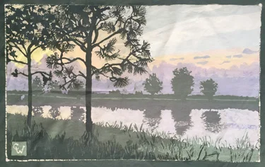 Misty Morn 2
