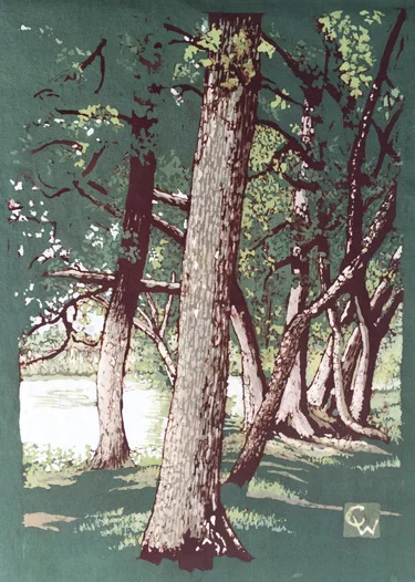 Brickyard Pond II