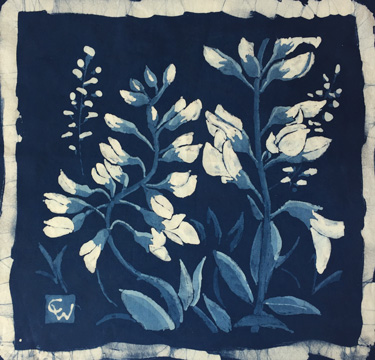 A small botanical study of an actual native indigo plant. I’m trying to create the deepest blue possible for the background, and it involves over a dozen extra dips into the vat. Indigo builds color slowly by resubmerging. This is the darkest I’ve b…