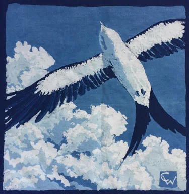 Swallow Tail Kite Study