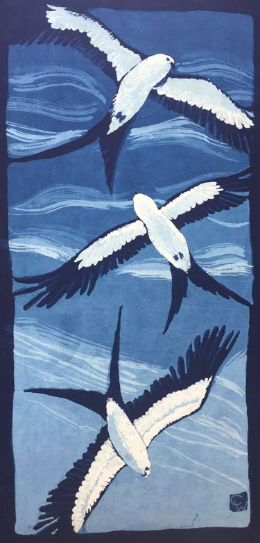 Soaring Kites