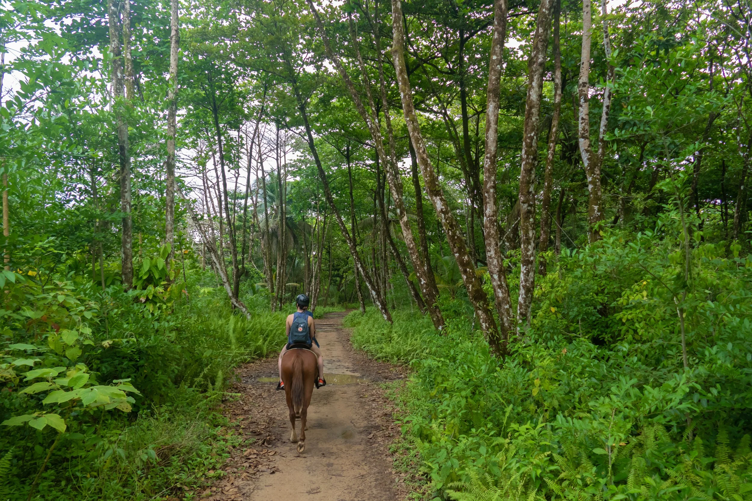 Horseback Riding Excursion.jpg
