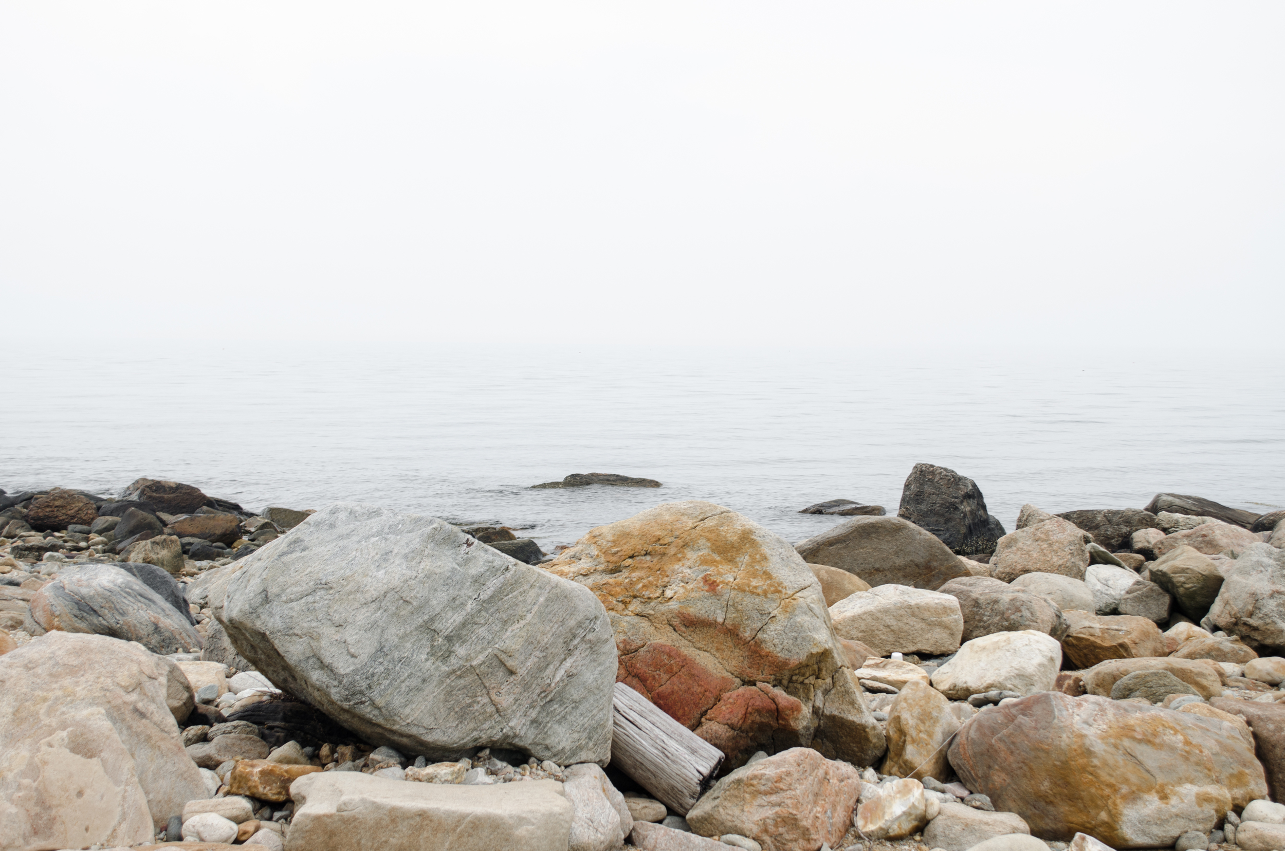 DSC_1689-2.jpg