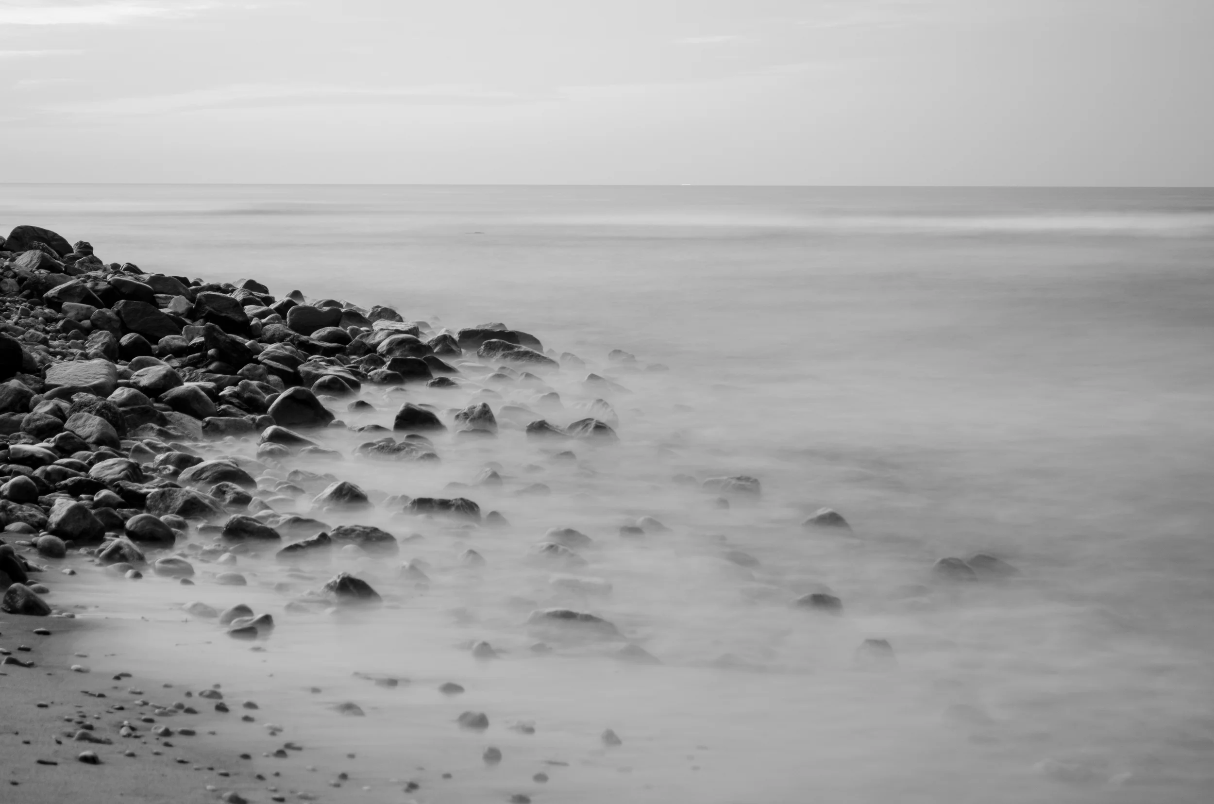 DSC_1622.jpg