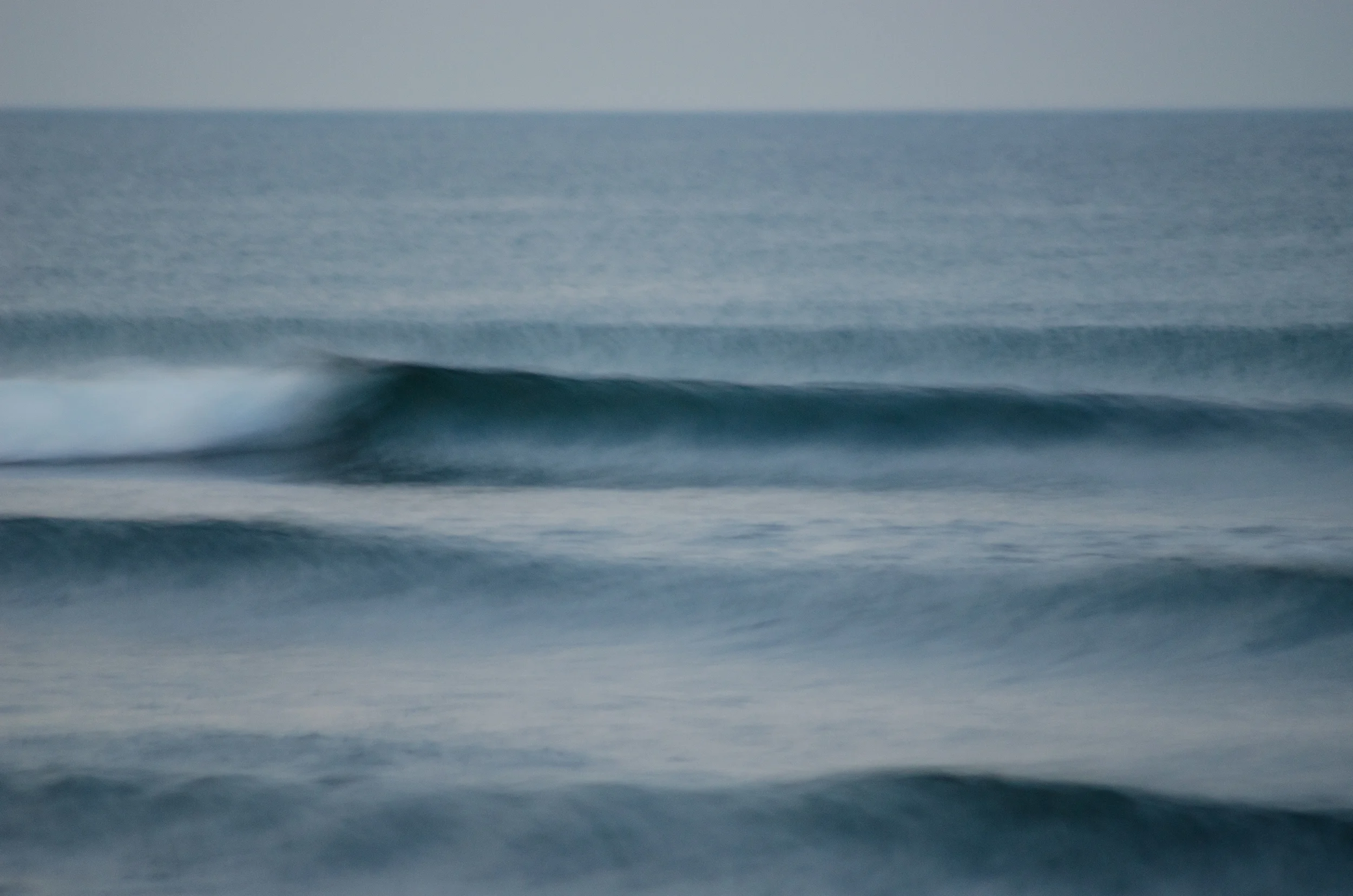 DSC_1630.jpg