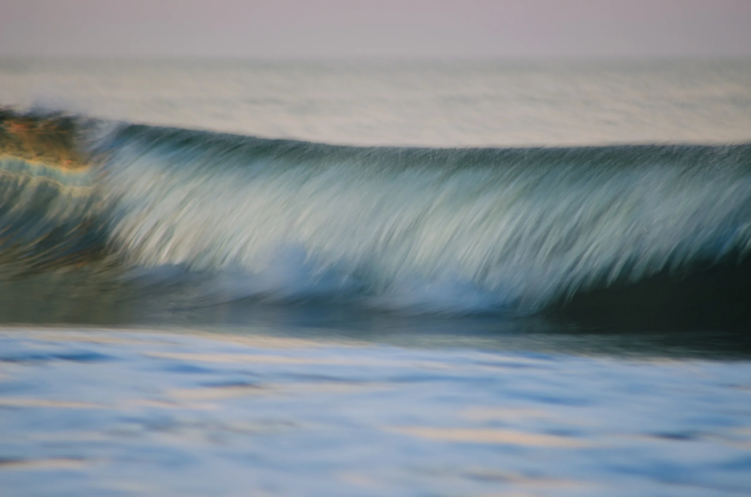DSC_1646.jpg