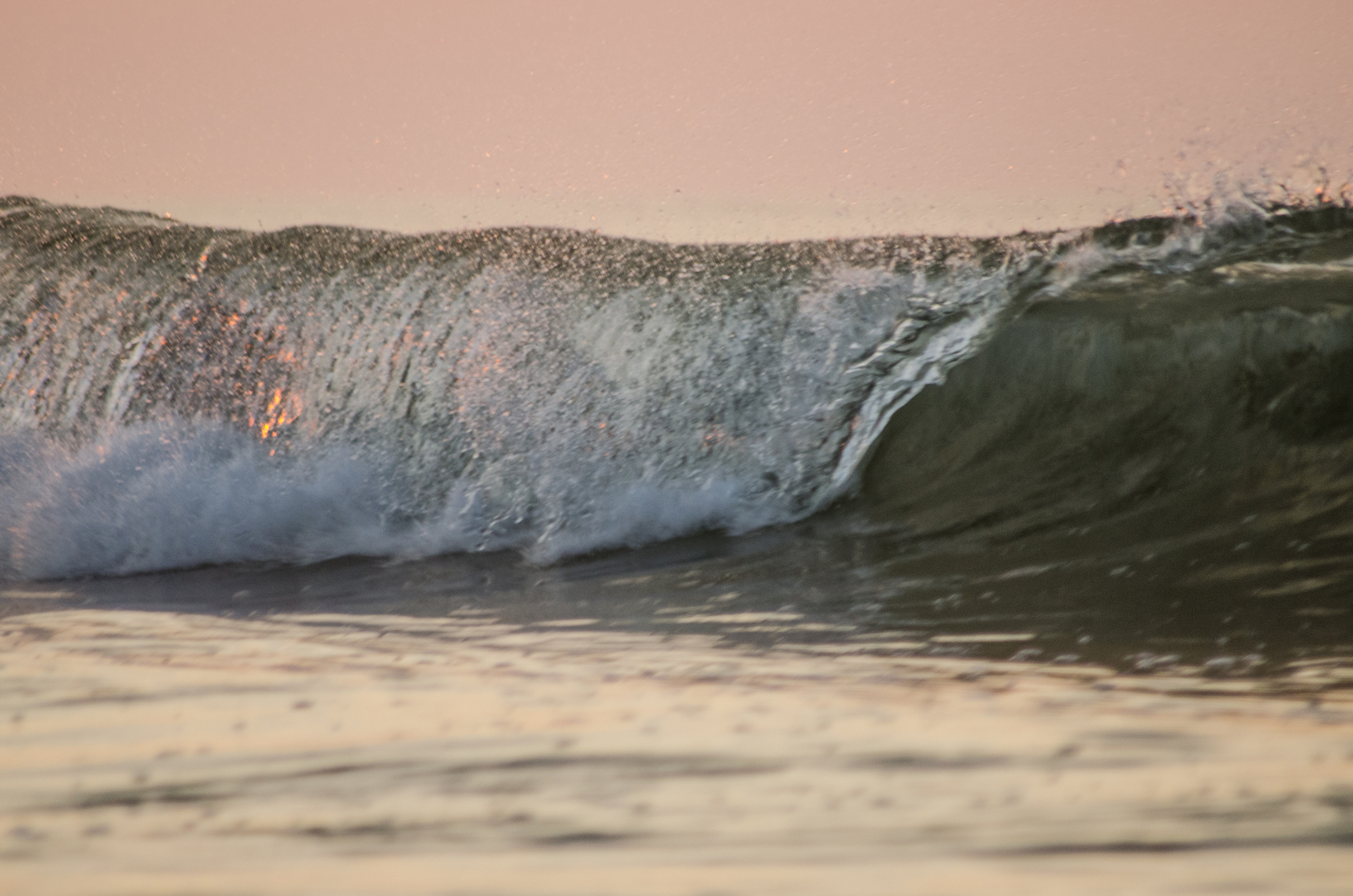 DSC_1665.jpg