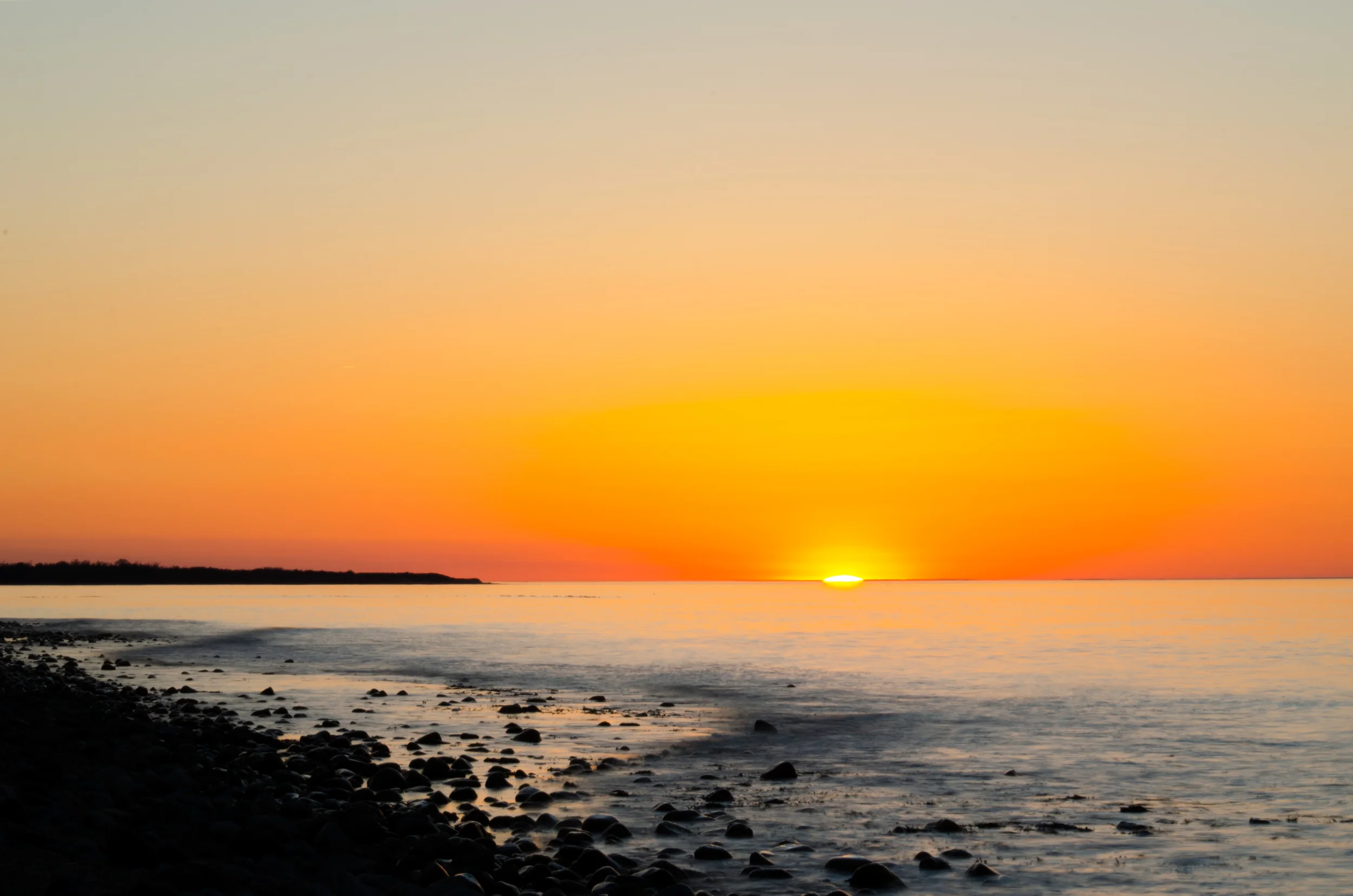 DSC_1546.jpg