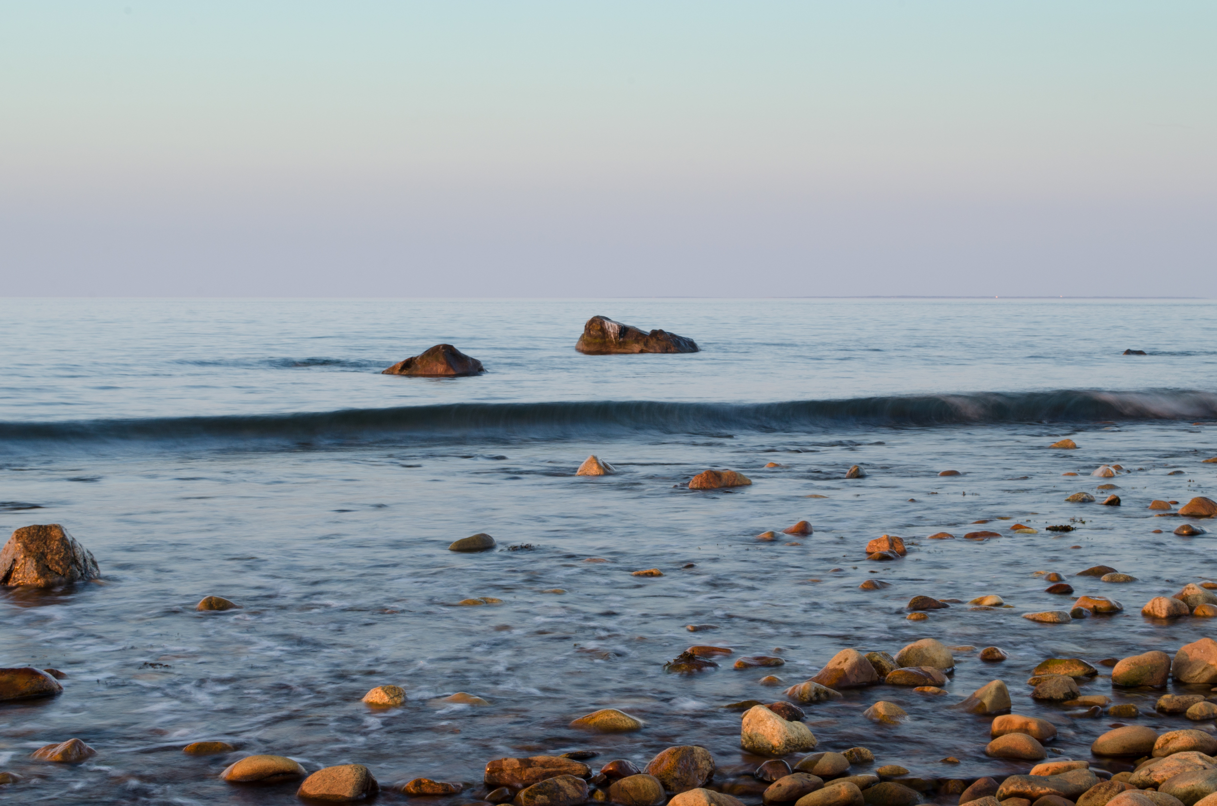 DSC_1504.jpg