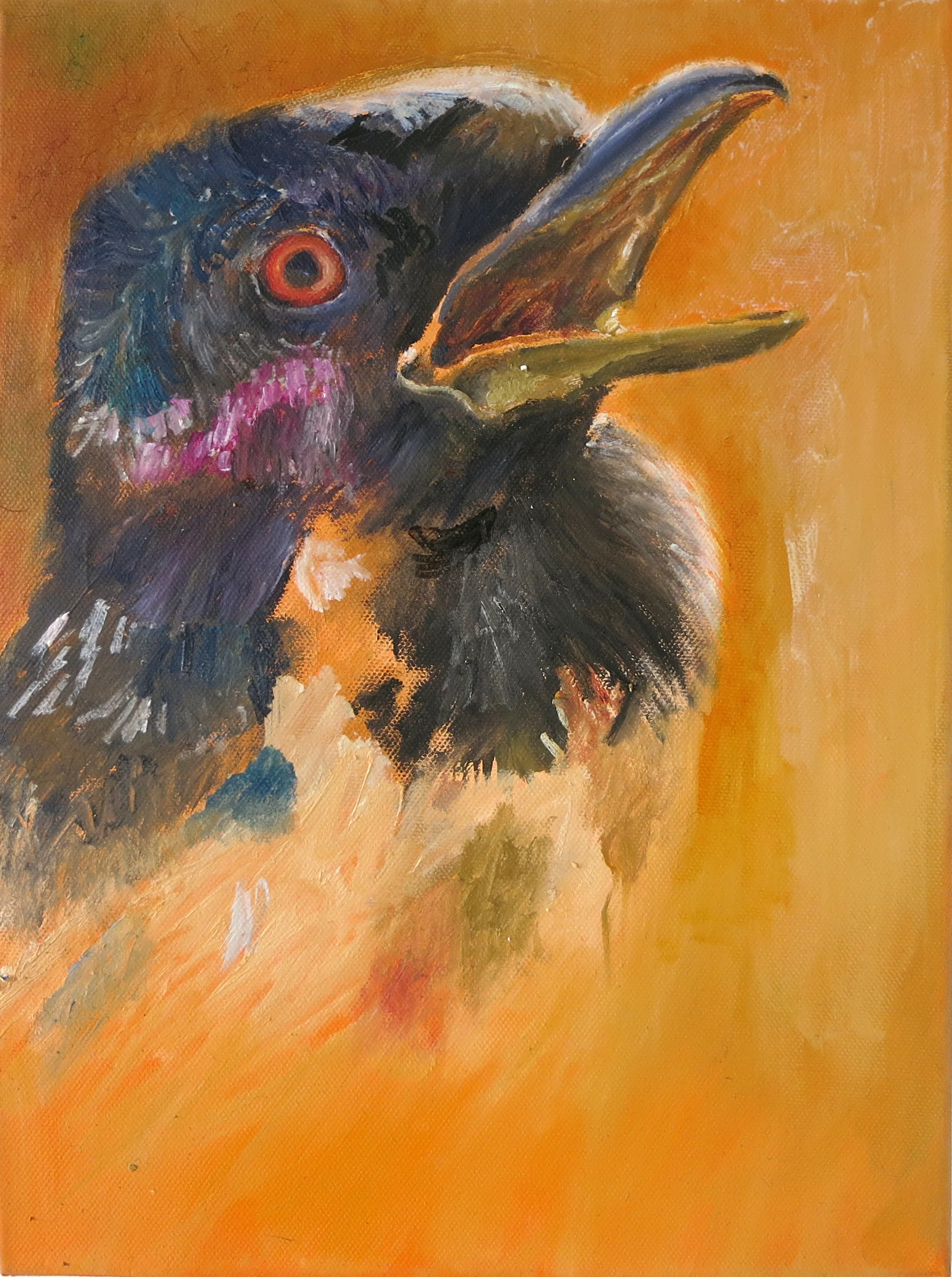 Bird
