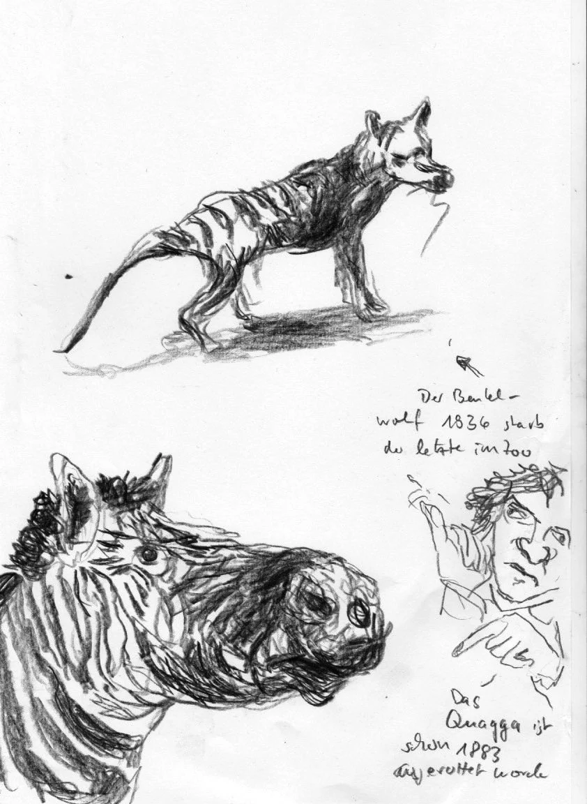 Scan 8.jpg