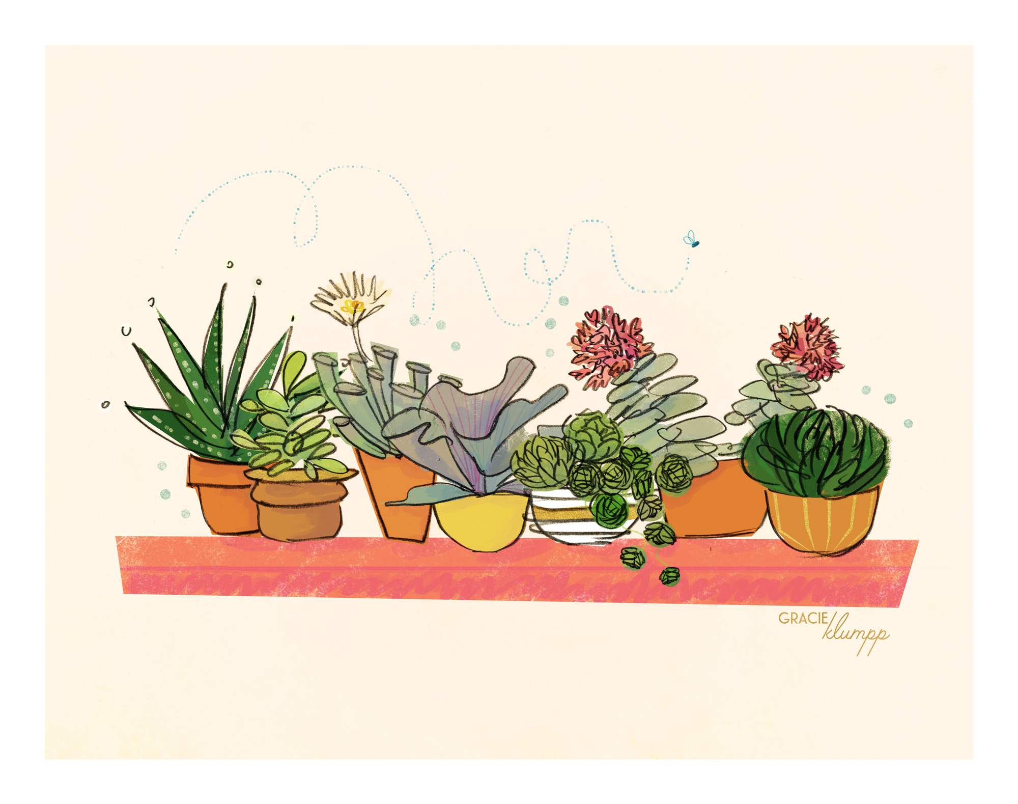 succulents_gracieklumpp.jpg