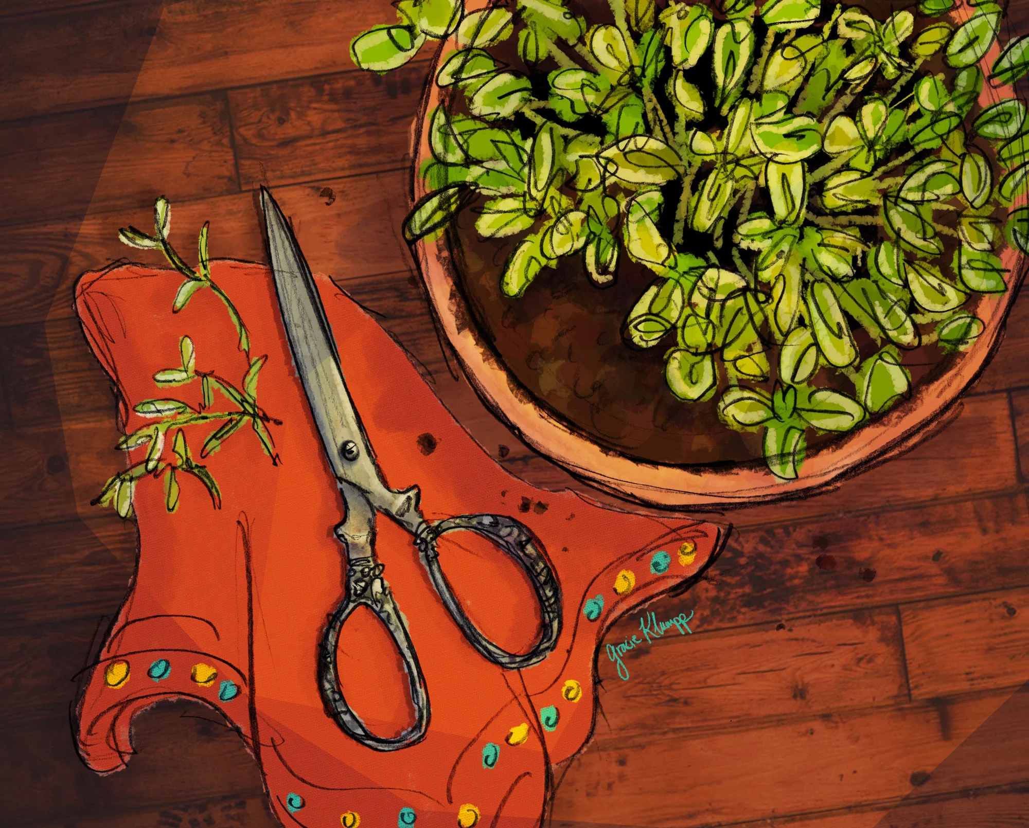 herbs.jpg