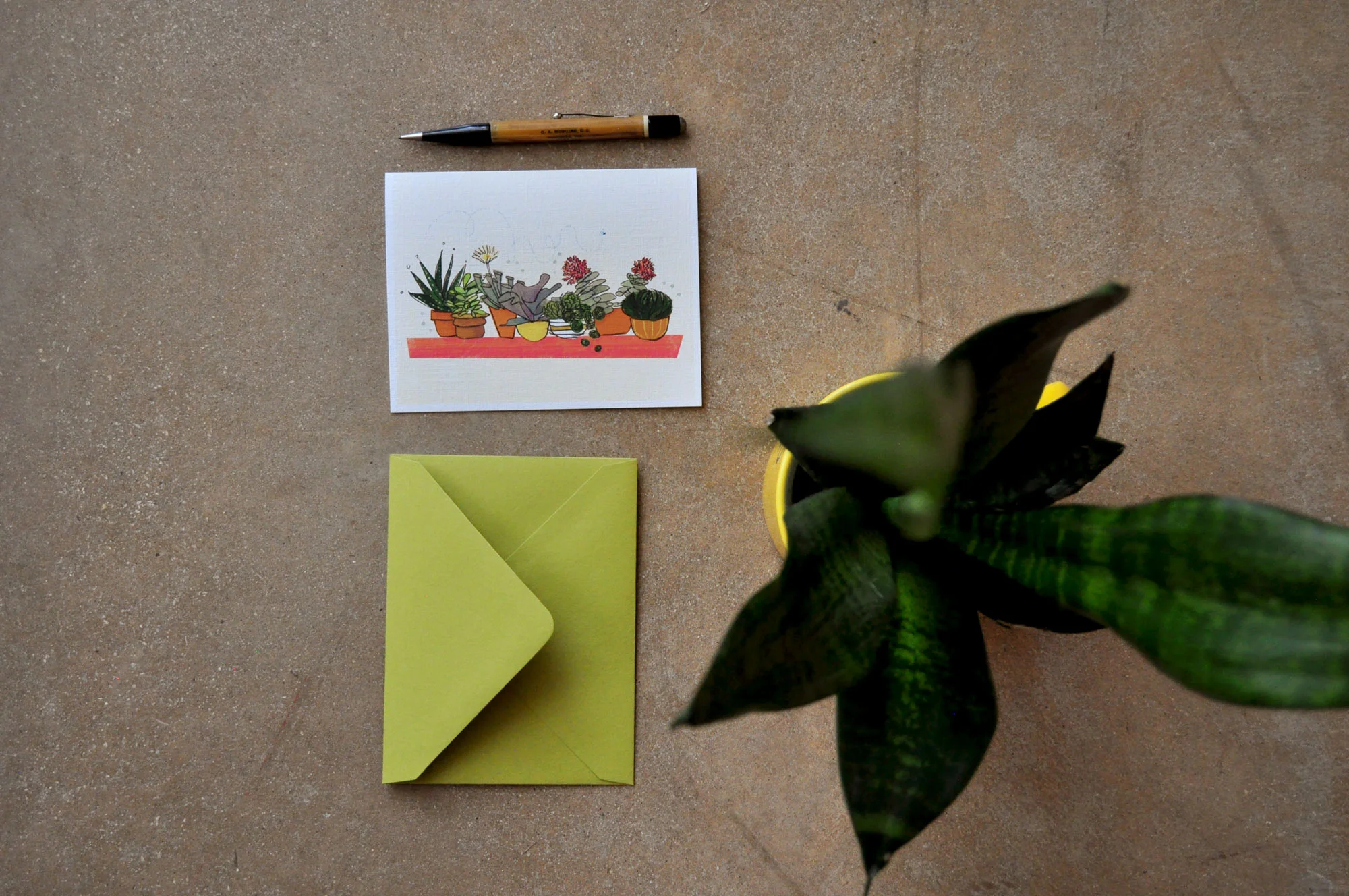 GracieKlumpp_Succulents_Blank_Card_Overall1.jpg