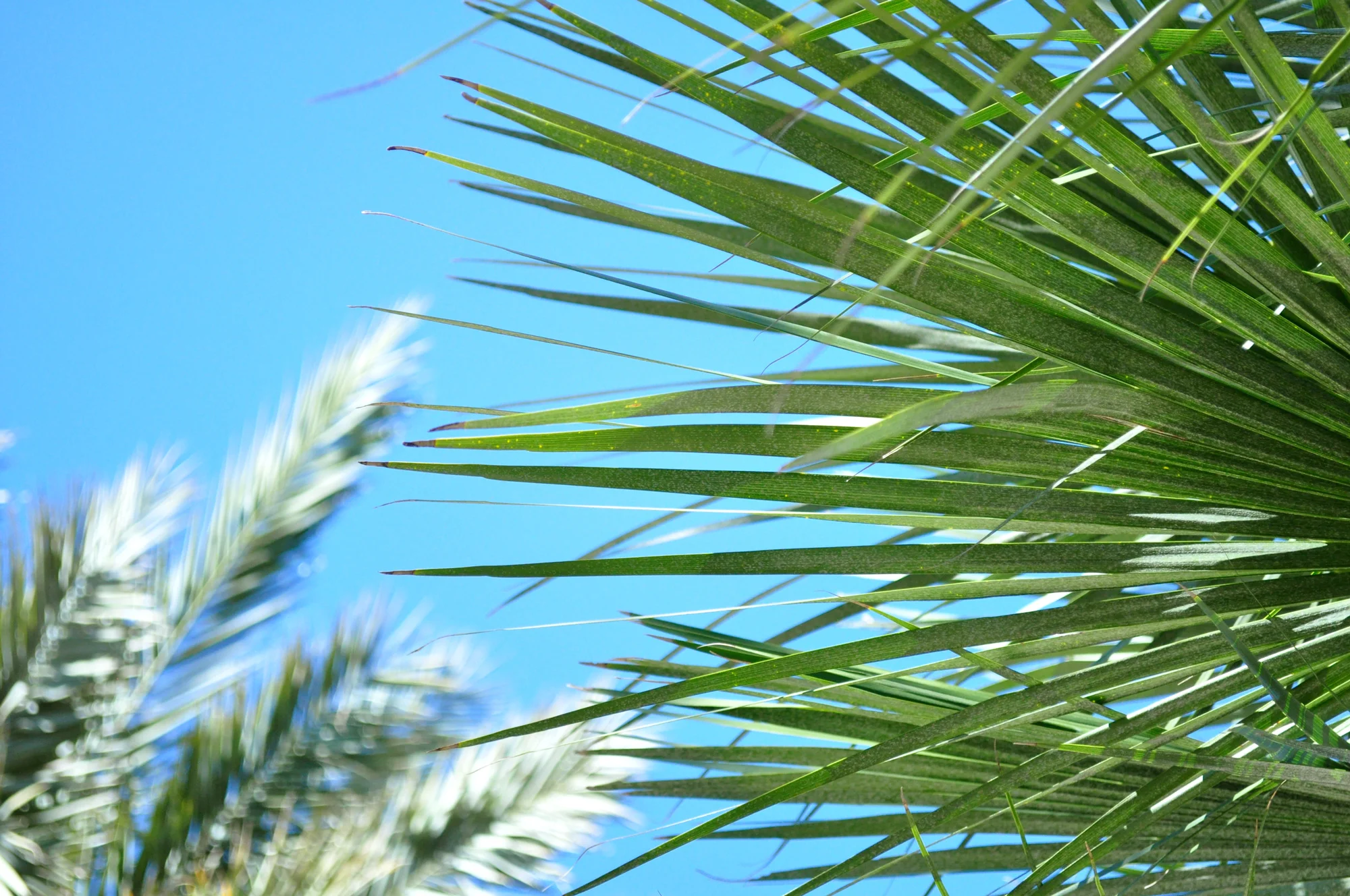 The view looking up...