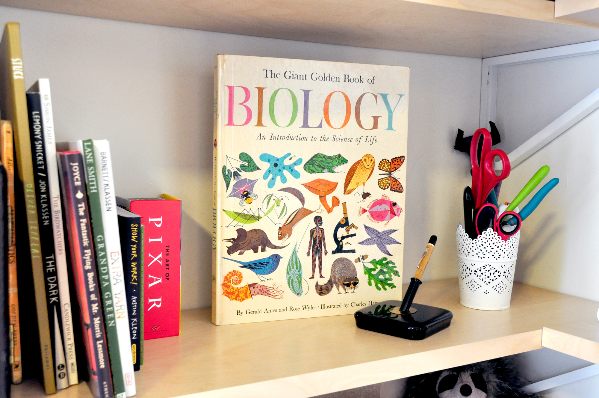 This fantastic Biology book with illustrations by Charles Harper used to belong to my grandpa, who is also an artist. It's really cool to know Charles Harper's work is inspiring to both of us! You can also see I keep a few of my favorite picture books close at hand.