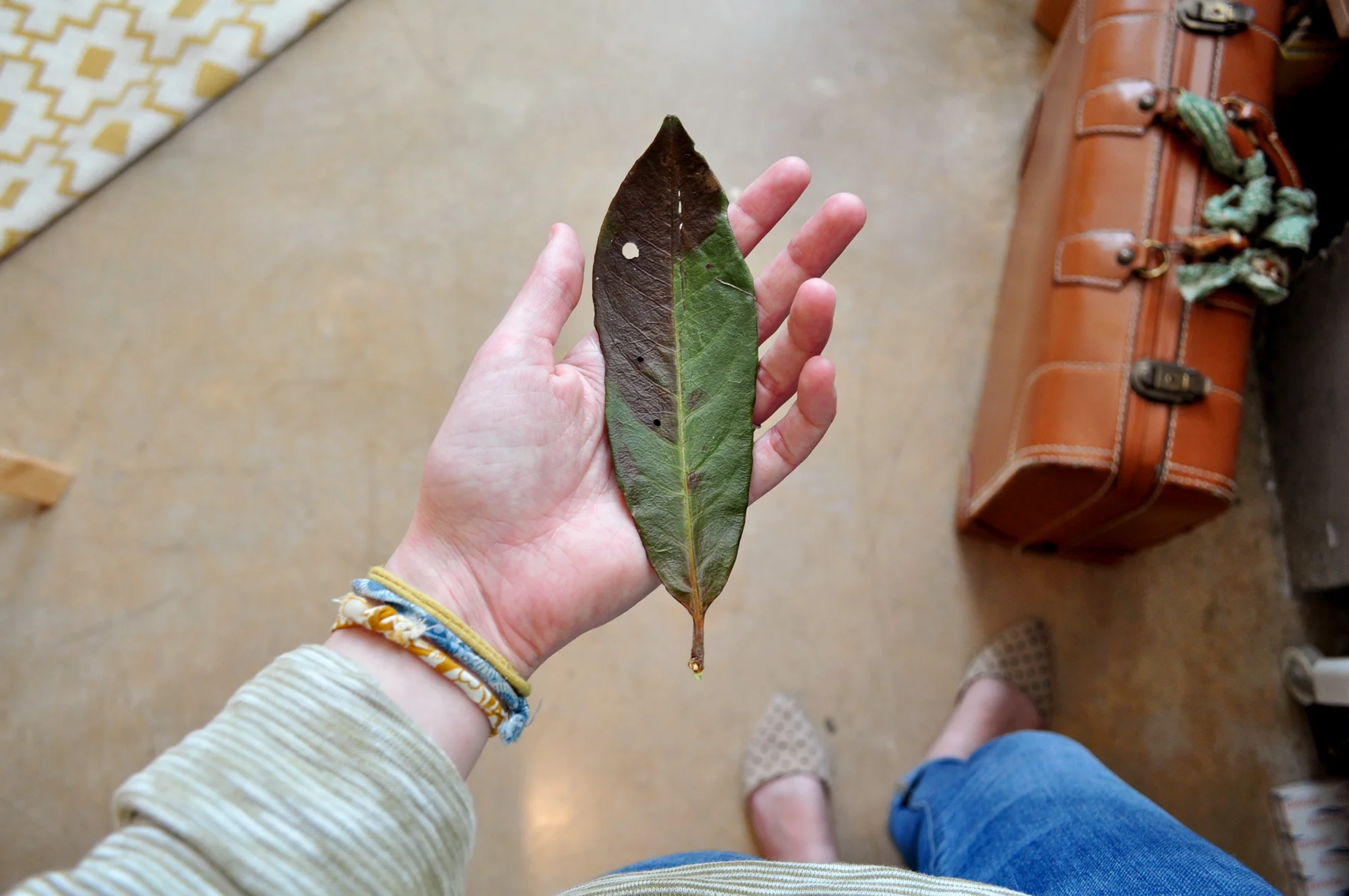 KensingtonLeaf_3.jpg