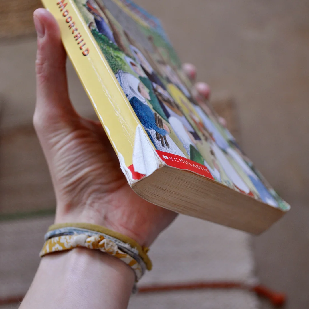 Can you tell I loved this book anyway?