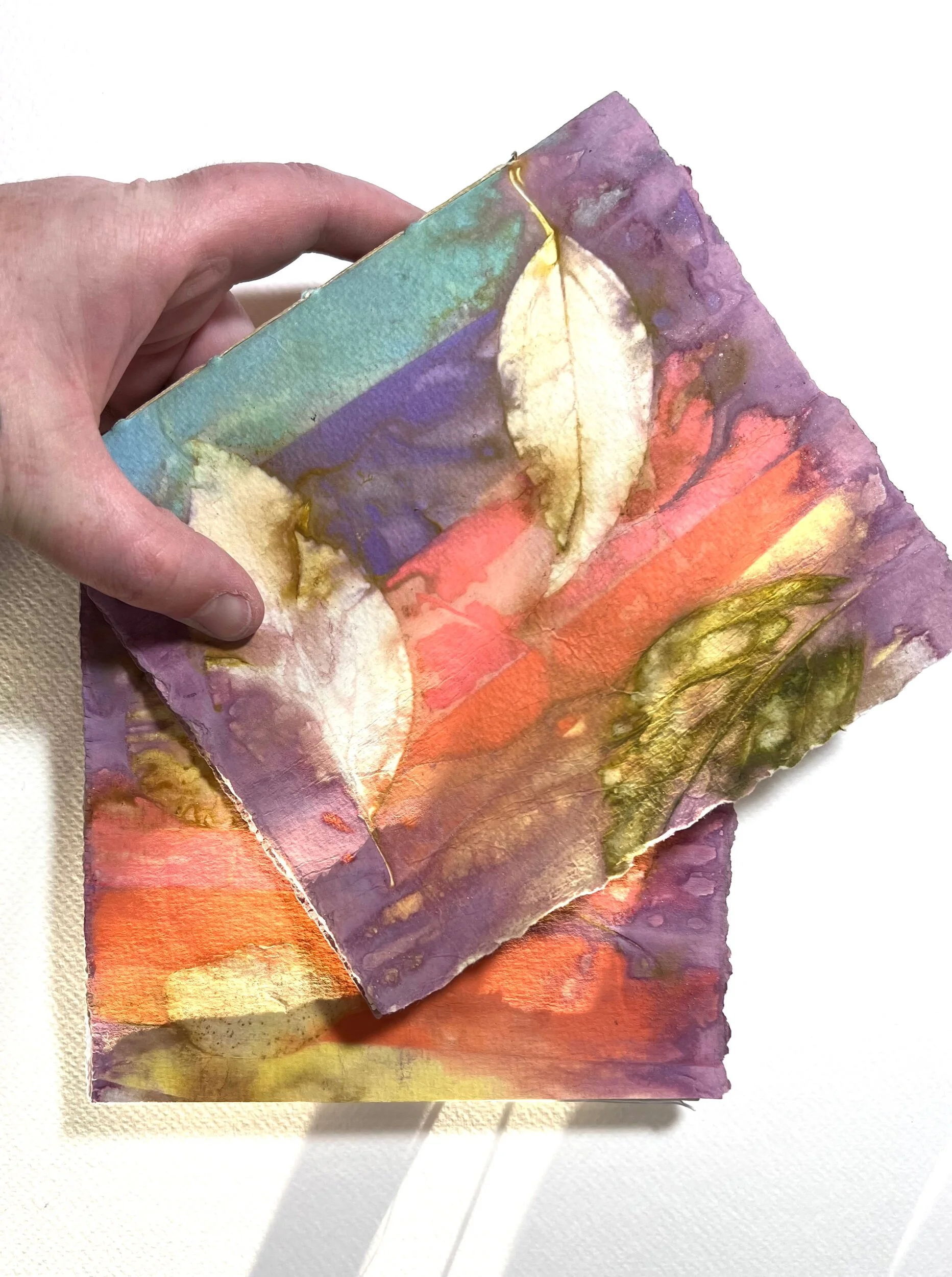 8F5B12D2-A6E7-4699-96A5-A76DAF408810