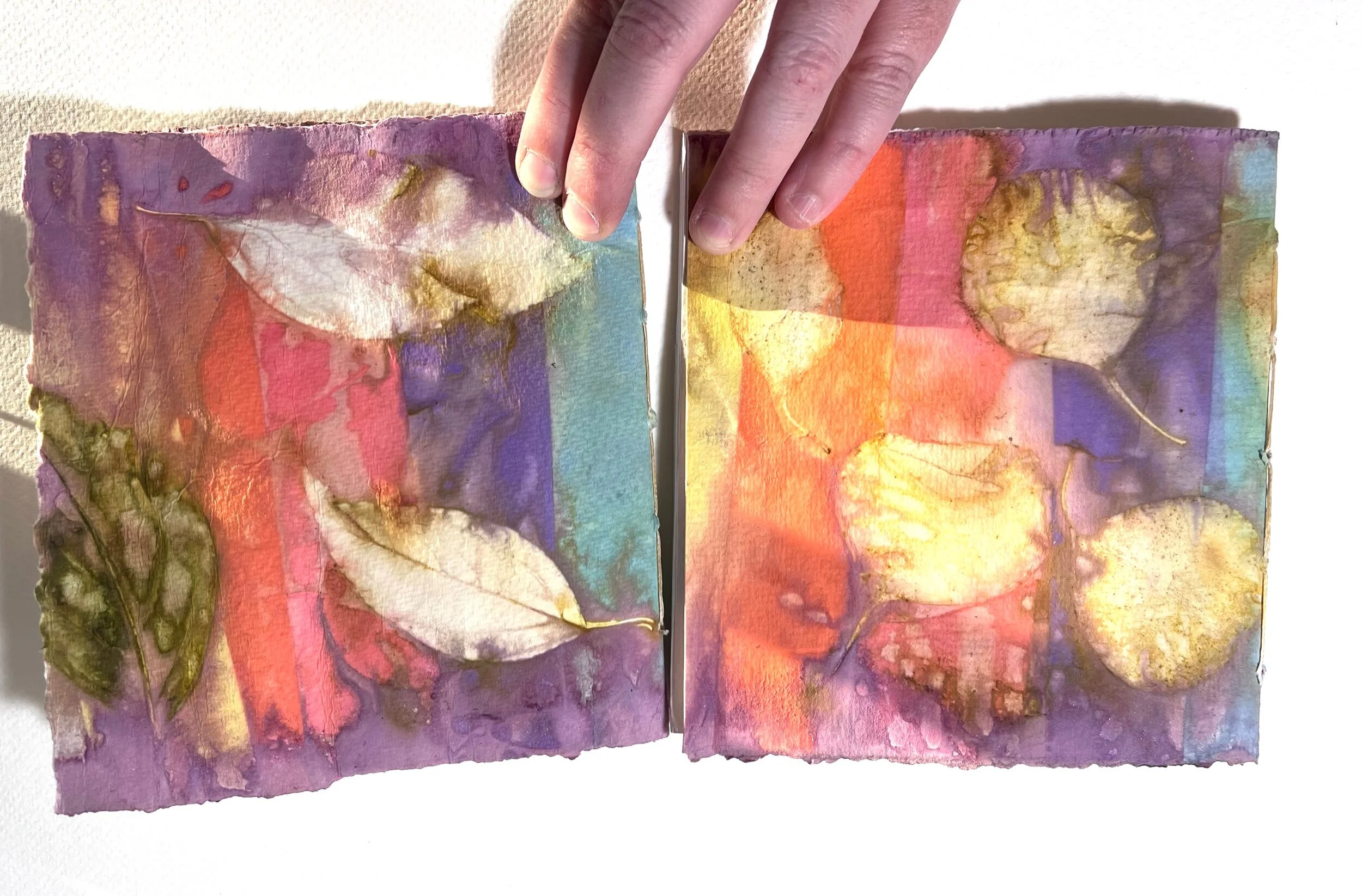 4E0BD7A2-7CC0-4810-81D9-0A18D41C9AD2