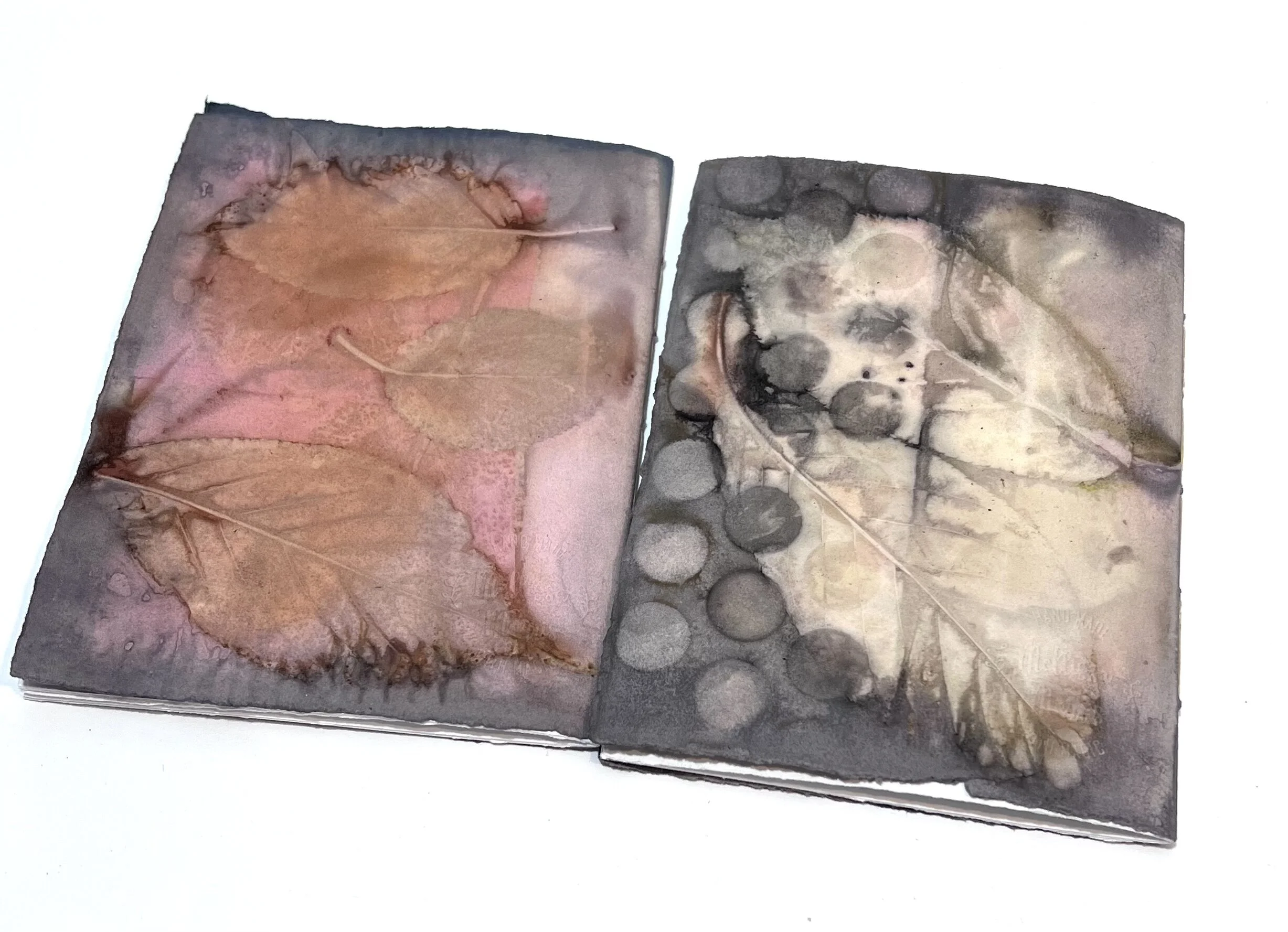 4F2F5A67-C1F4-4B6B-8D94-7D62F9DF23E2