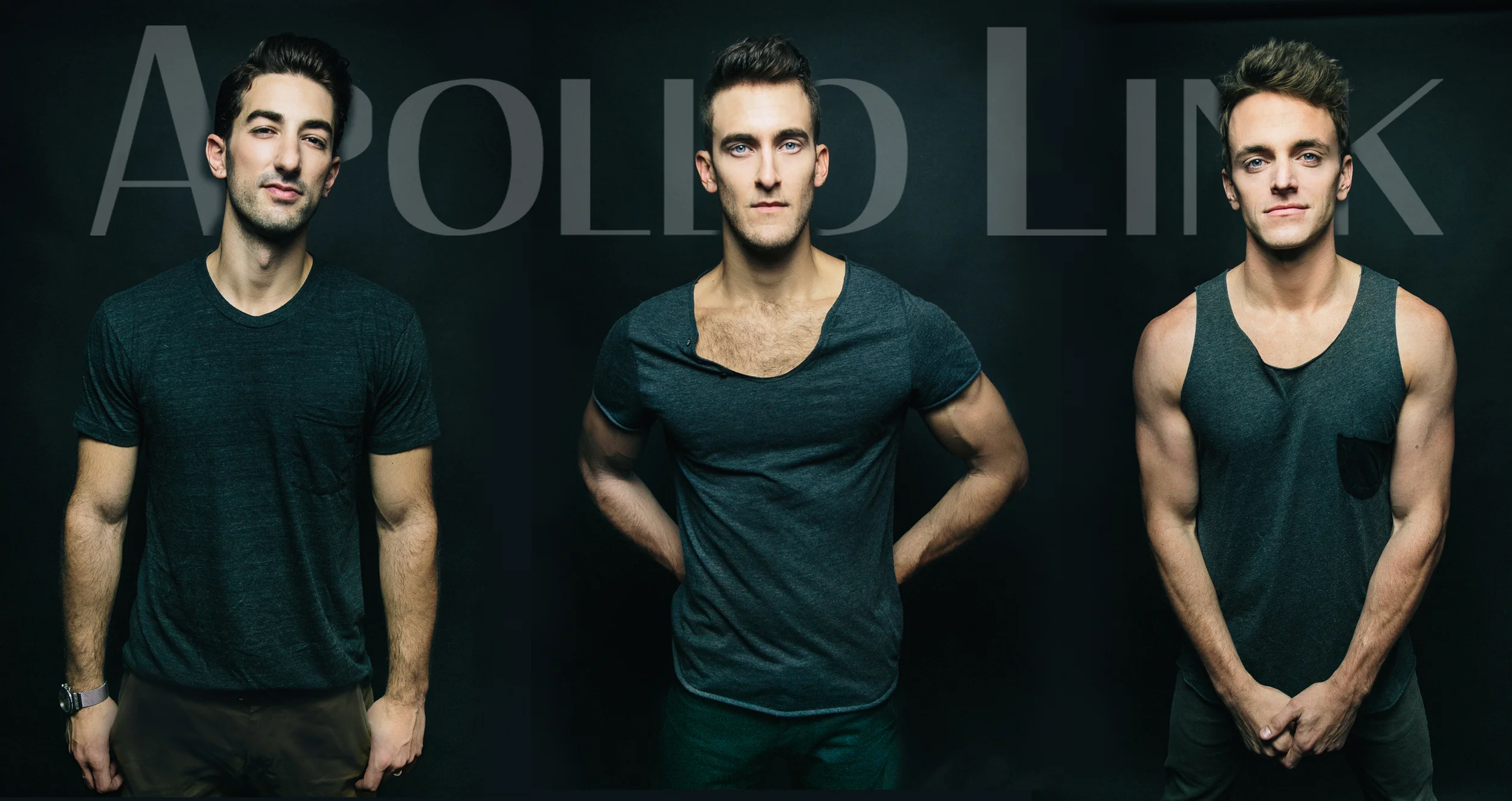 apollo-link-prallsville.jpg