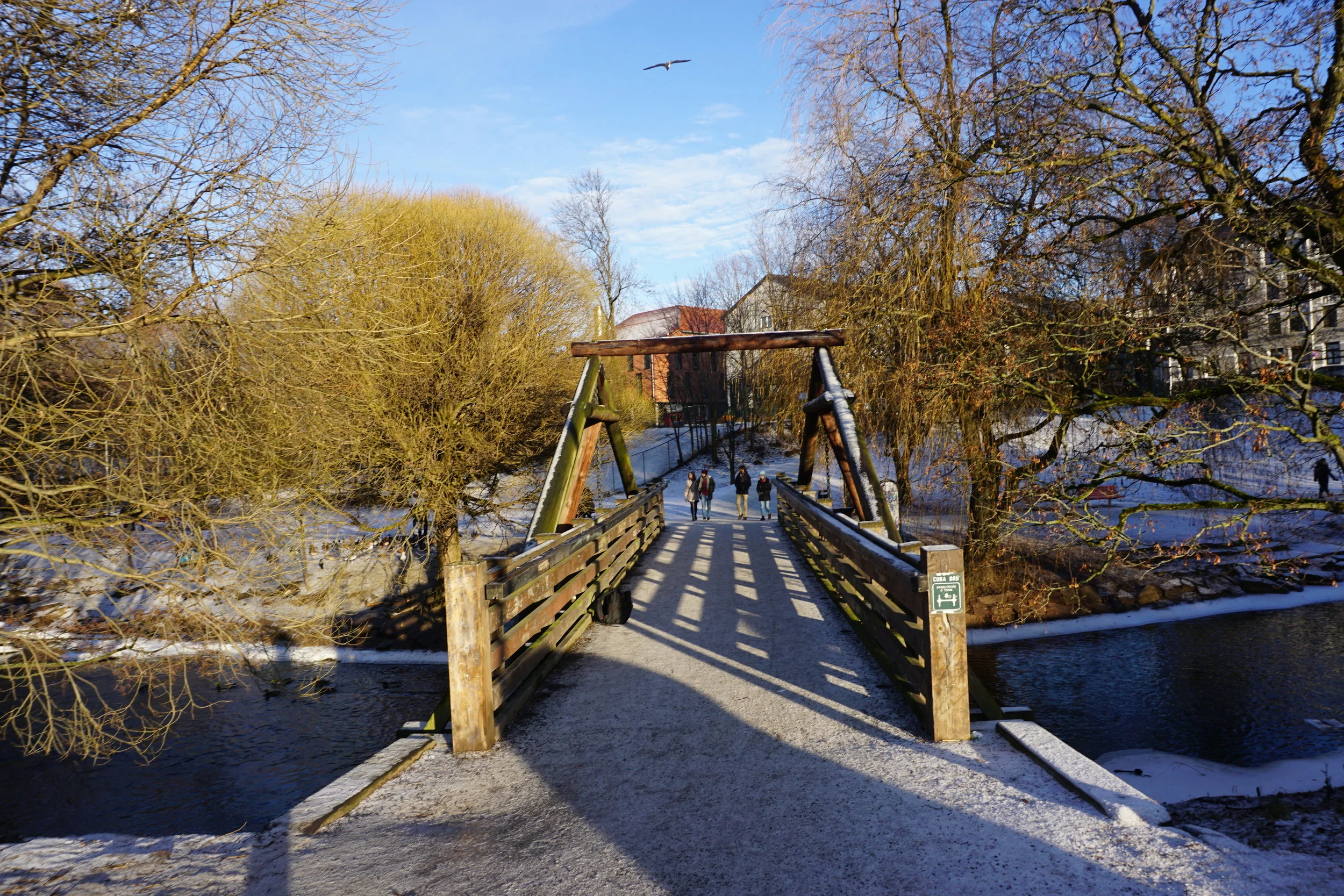 Oslo is Treating Me Just Swell