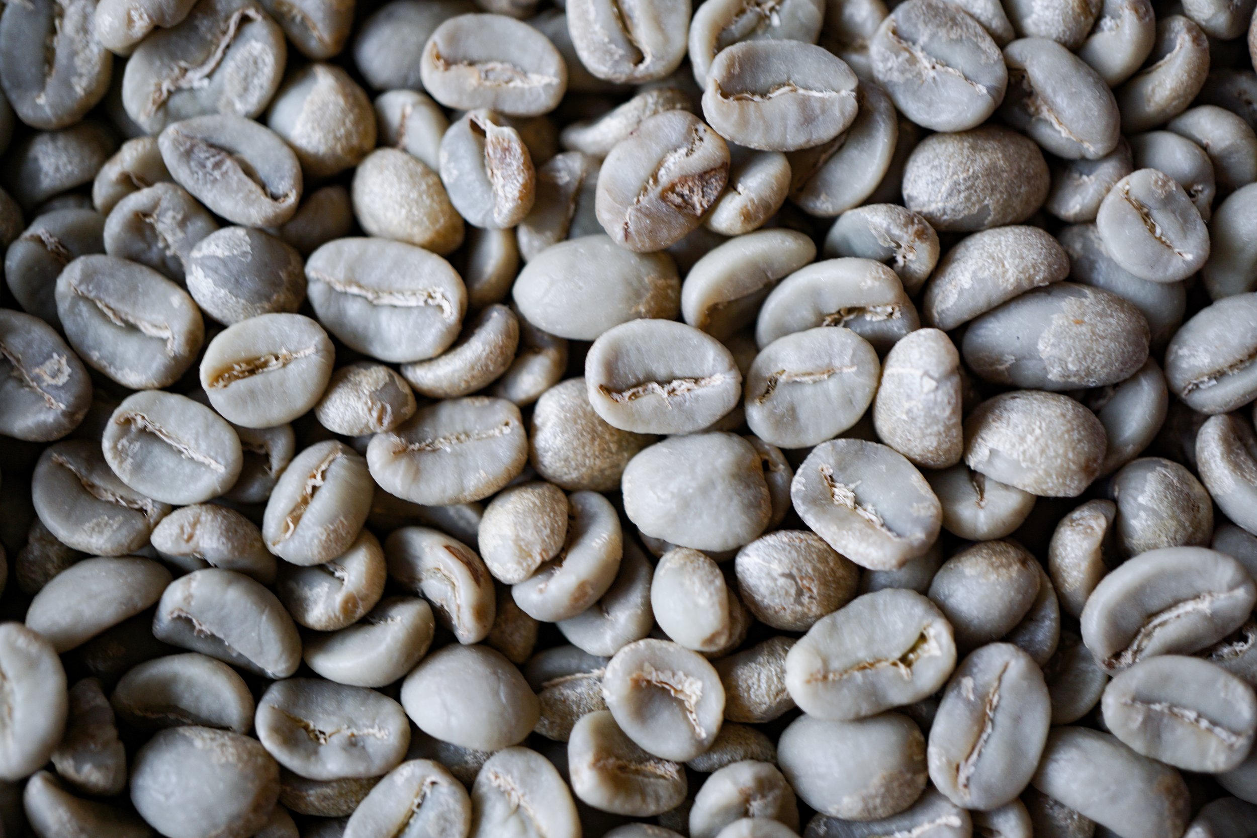 Green or raw coffee beans