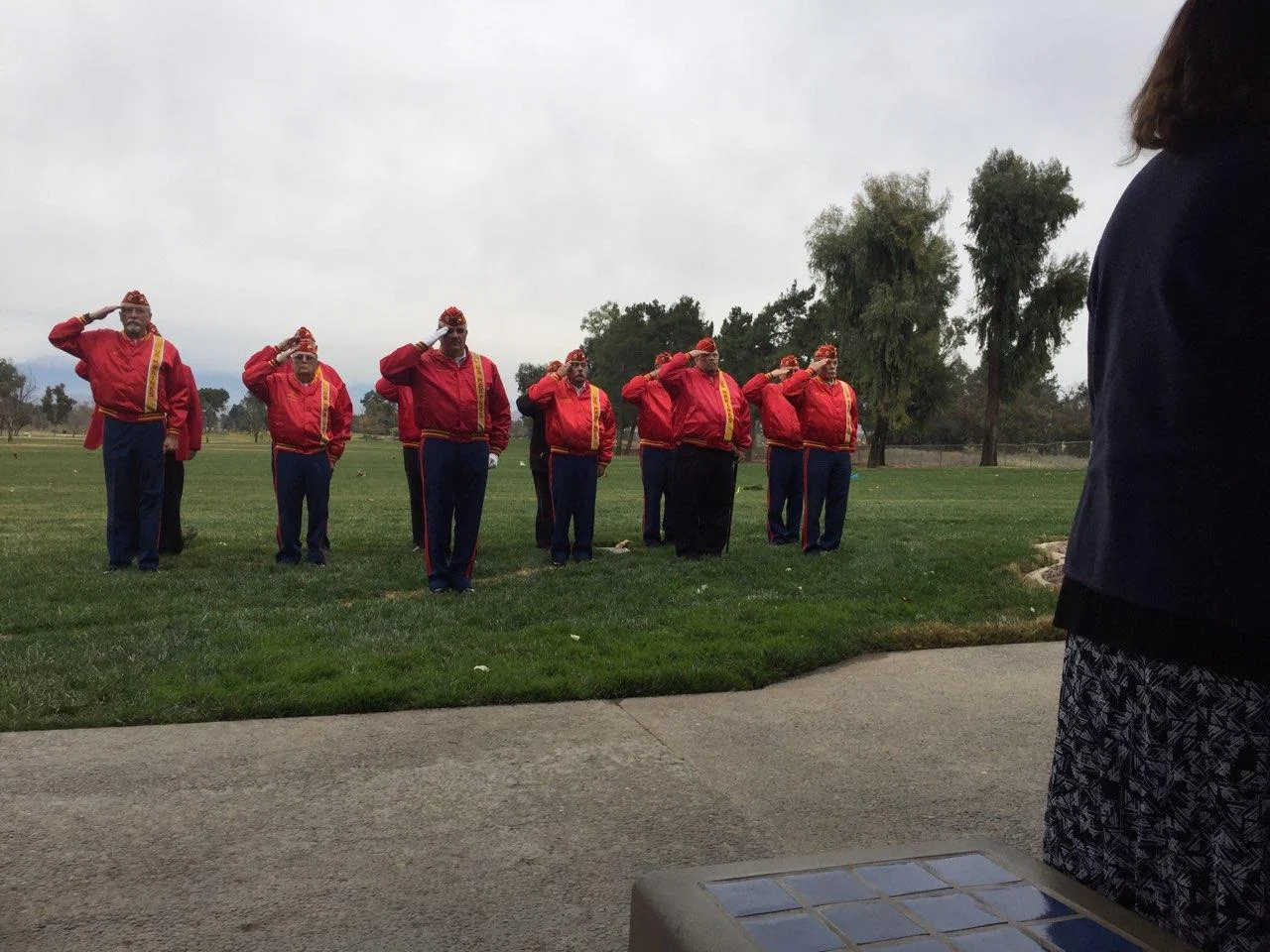 Marines saluting