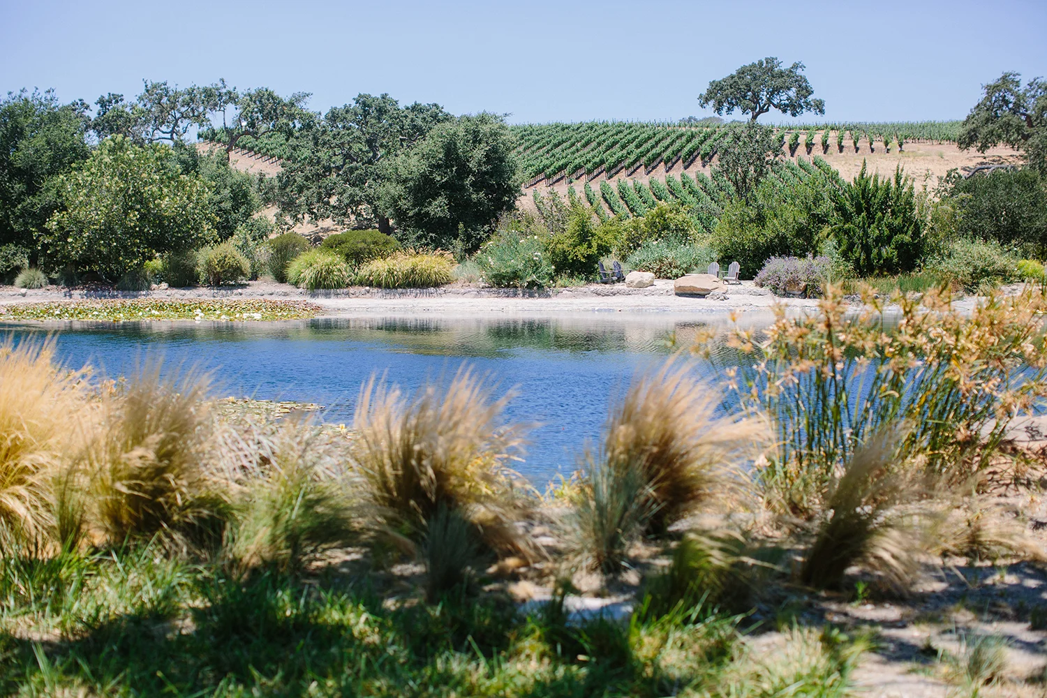 Wine Touring in Santa Ynez Valley | Coastal Concierge | Grassini Vineyard | Hilliard Bruce Vineyard | The Editor's Touch | Santa Barbara Trip Planning | I Heart My Groom Photography