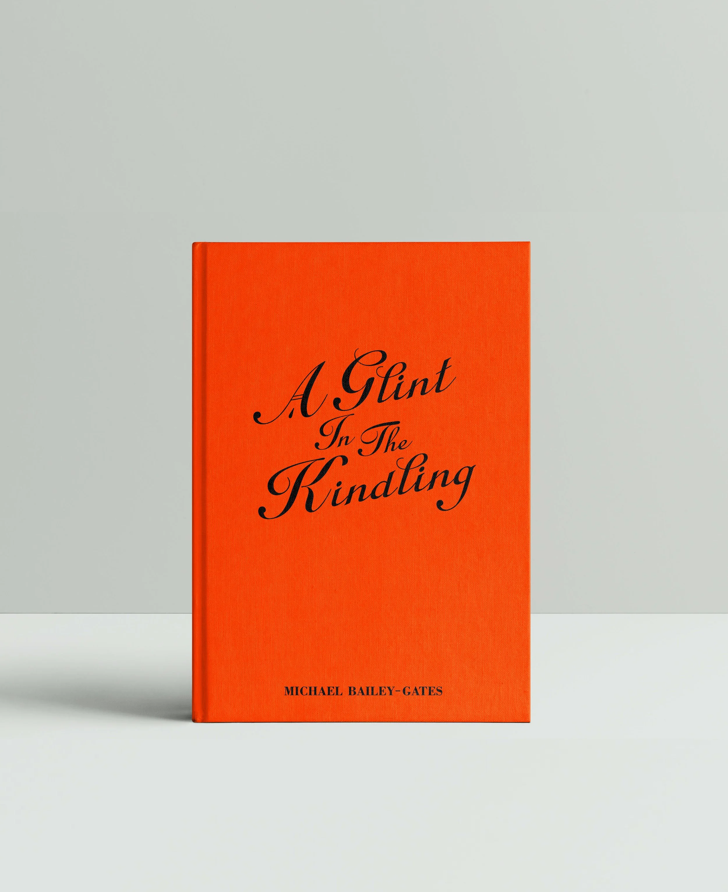 A GLINT IN THE KINDLING (1).jpg