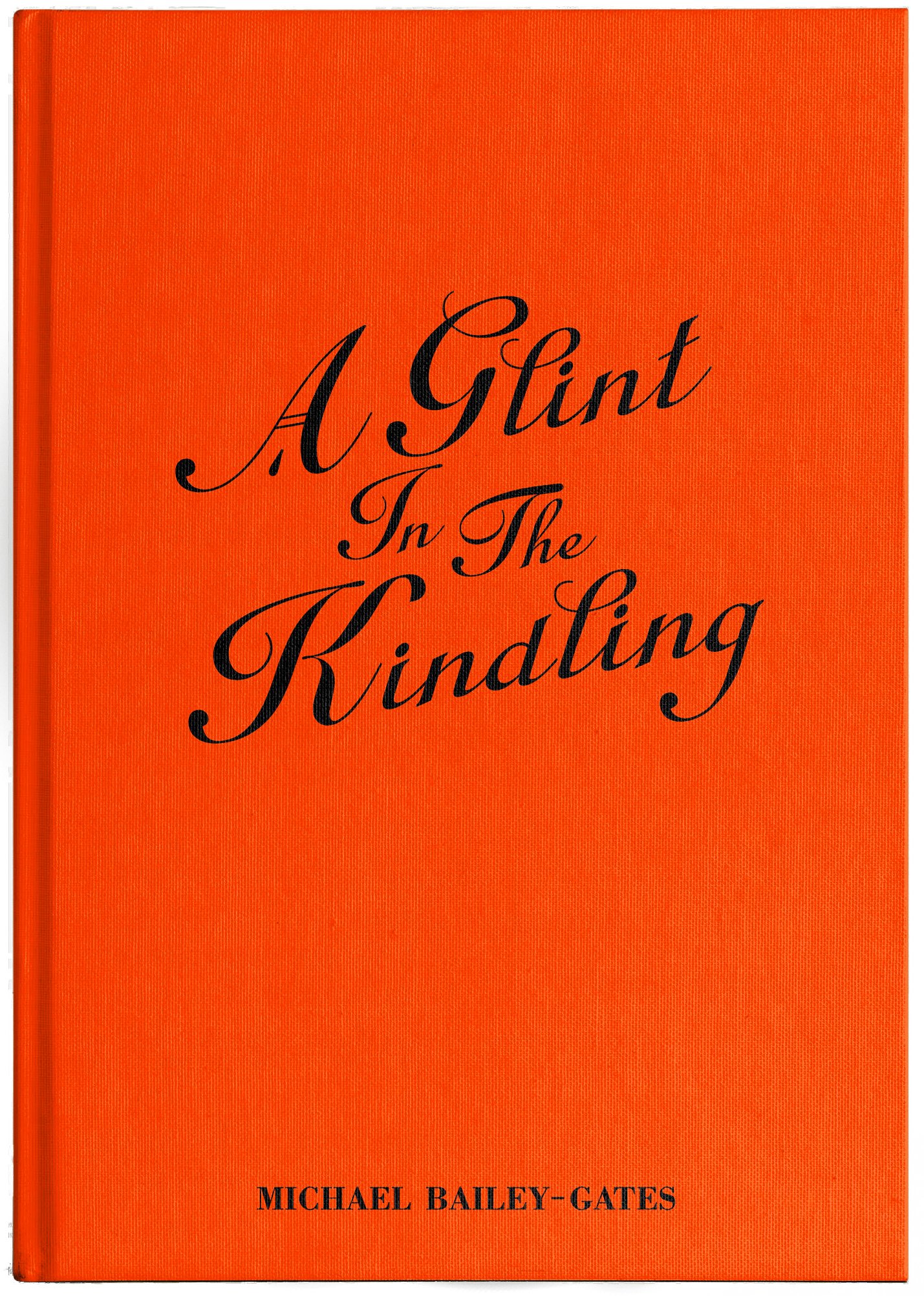 Michael_Bailey-Gates_ A_Glint_ In_ The _Kindling_ 2022.jpg