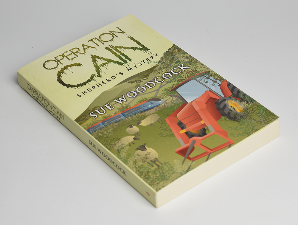 sue book cover photos 2.png