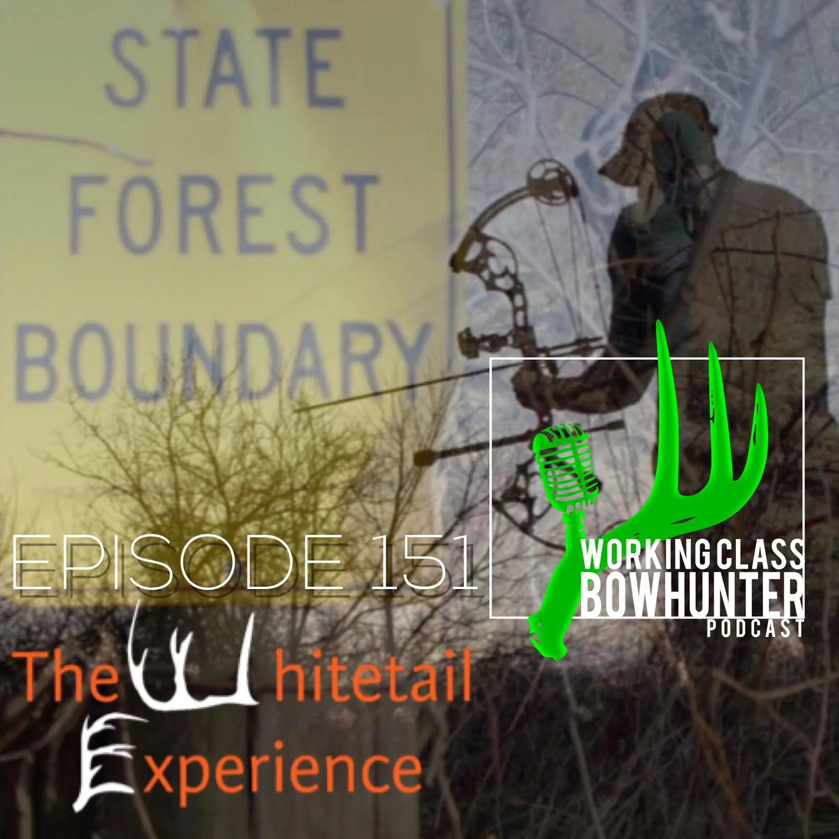 151 The Whitetail Experience
