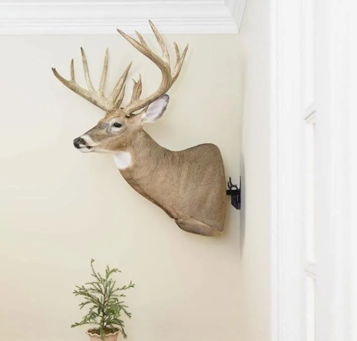 How To Enhance Your Trophy
