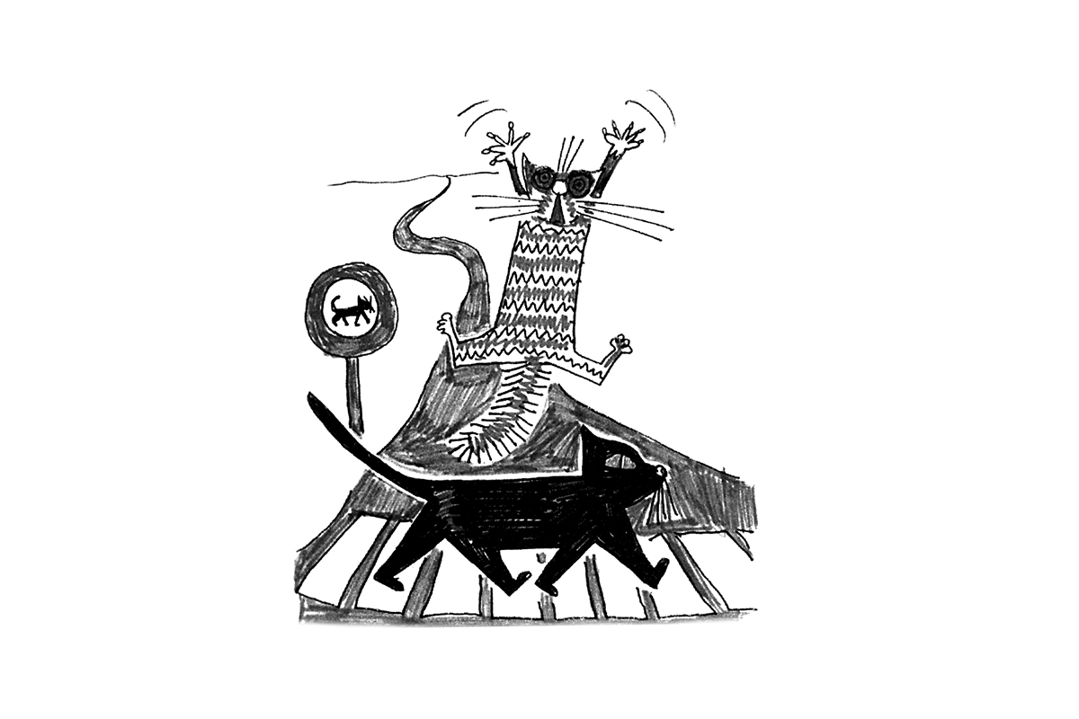 Don't Cross A Black Cat's Path